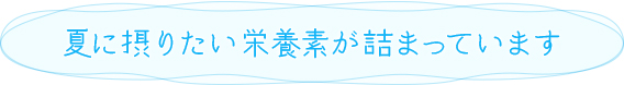 夏に摂りたい栄養素が詰まっています