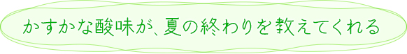 かすかな酸味が、夏の終わりを教えてくれる