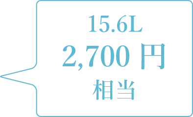 15.6L 2,916円 相当