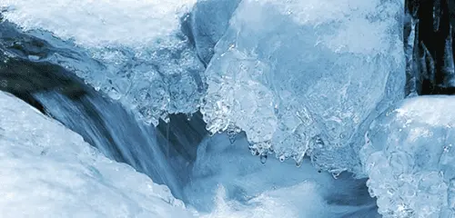 サントリーが森づくりからこだわった「南アルプスの天然水」のおいしさ